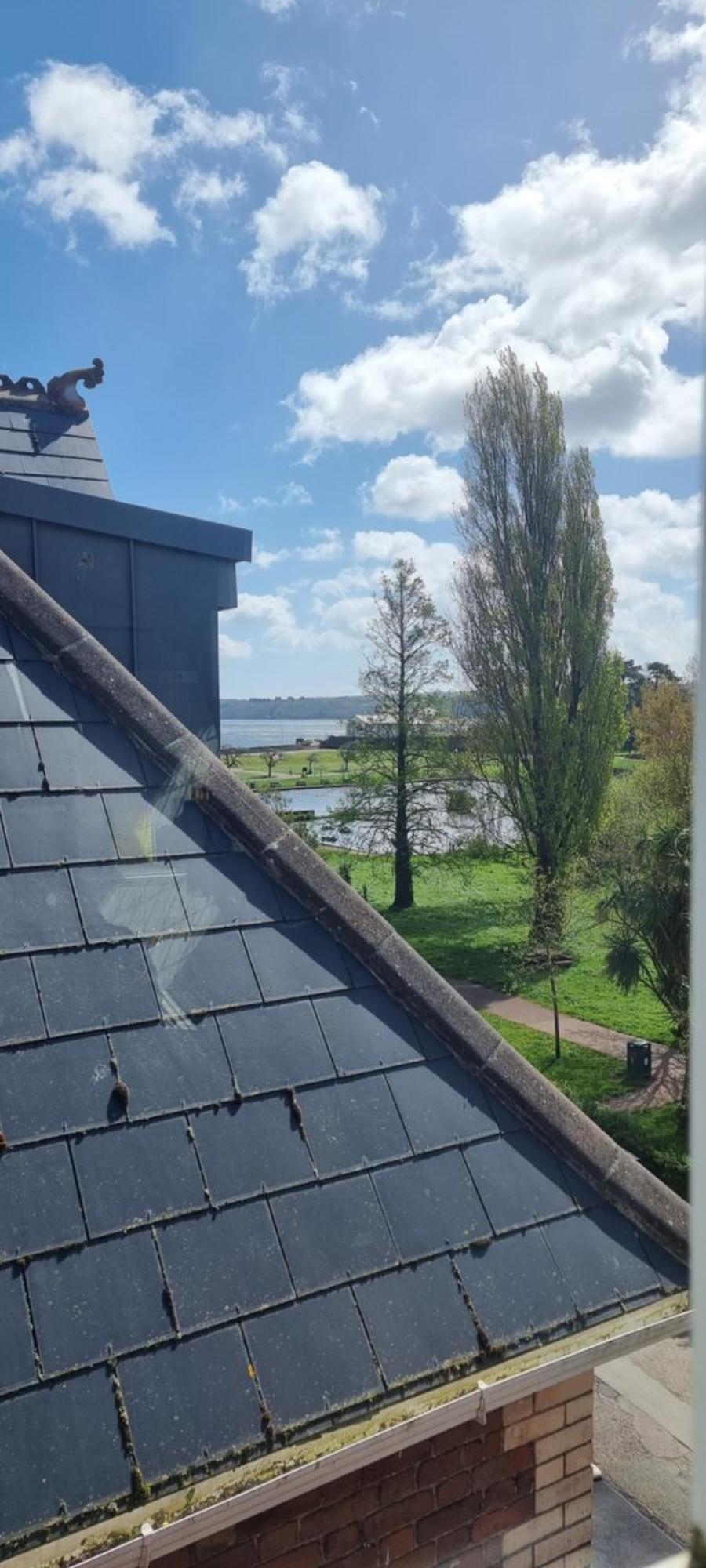 Rowcroft Lodge Guest House B&B เพนตัน ภายนอก รูปภาพ